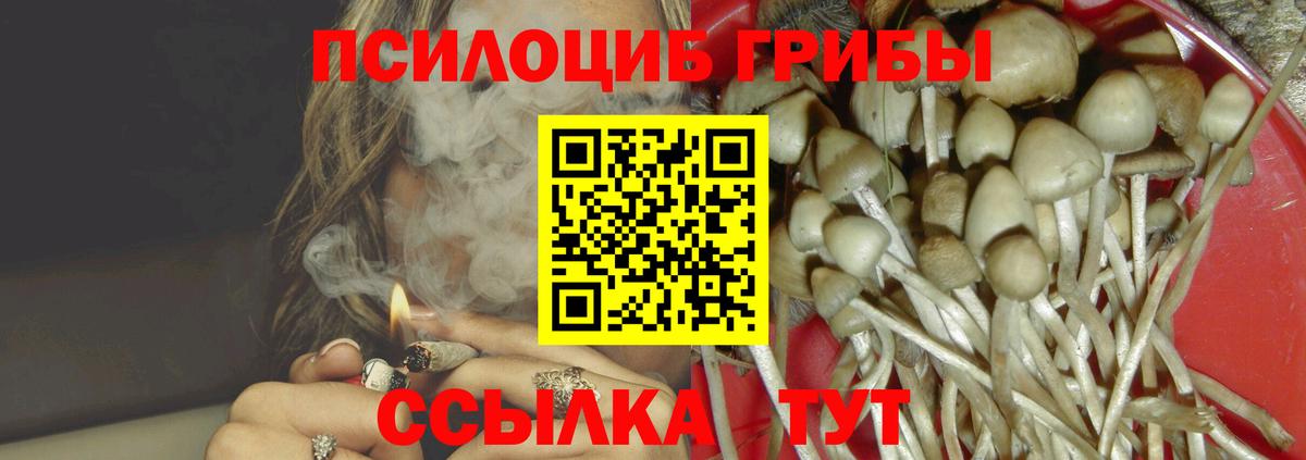 Псилоцибиновые грибы прущие грибы Домодедово